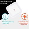 Wireless LED Night Light Sensor Lighting Mini US Plug Night light Lamp For Children Room Bedroom Decoration Lights Lighting - Brown