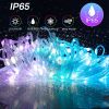 Waterproof Holiday LED Music Light String with Remote Control