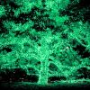 100LEDs Green Solar String Light - LA01