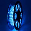 LED Rope Light 50ft Blue - LA01